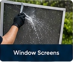 Window Screens